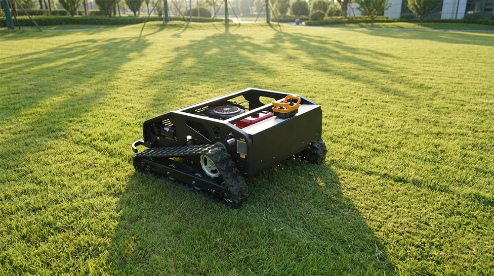 best time to mow a lawn in dry morning conditions