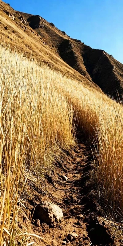 dry steep slope with rough terrain suitable for remote control slope mower applications