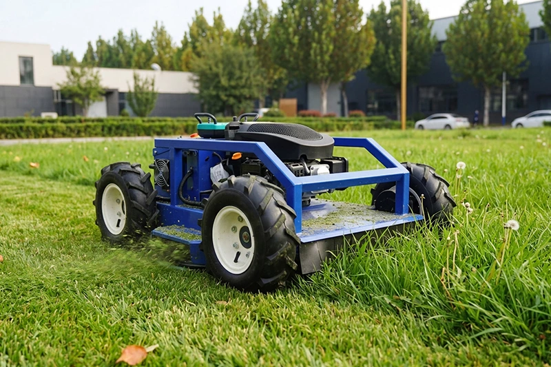 How to Mow a Lawn properly: Best Height, Patterns, Timing & Mistakes