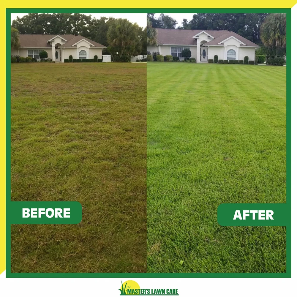 before and after lawn mowing clean stripes professional result