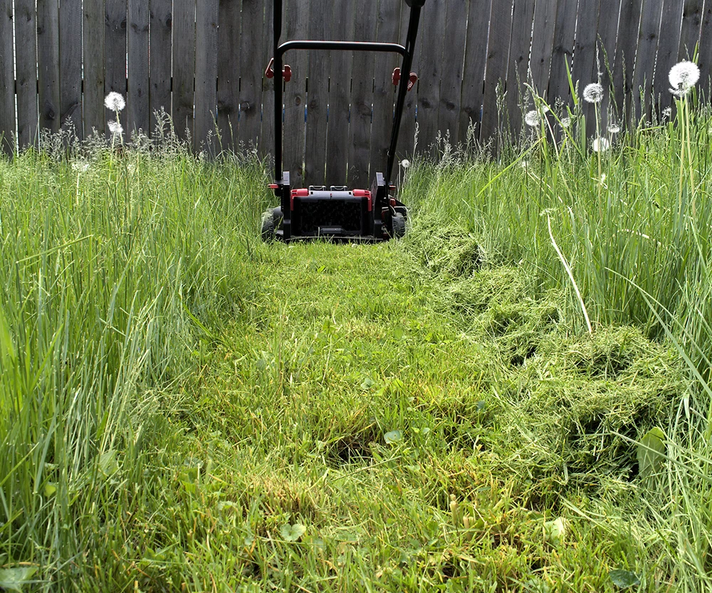 Wet and dense grass can significantly reduce mowing efficiency and expose the limits of standard electric mowers.