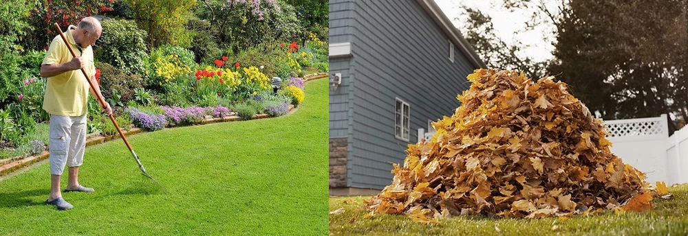 spring vs fall lawn mowing comparison best time to buy lawn mower