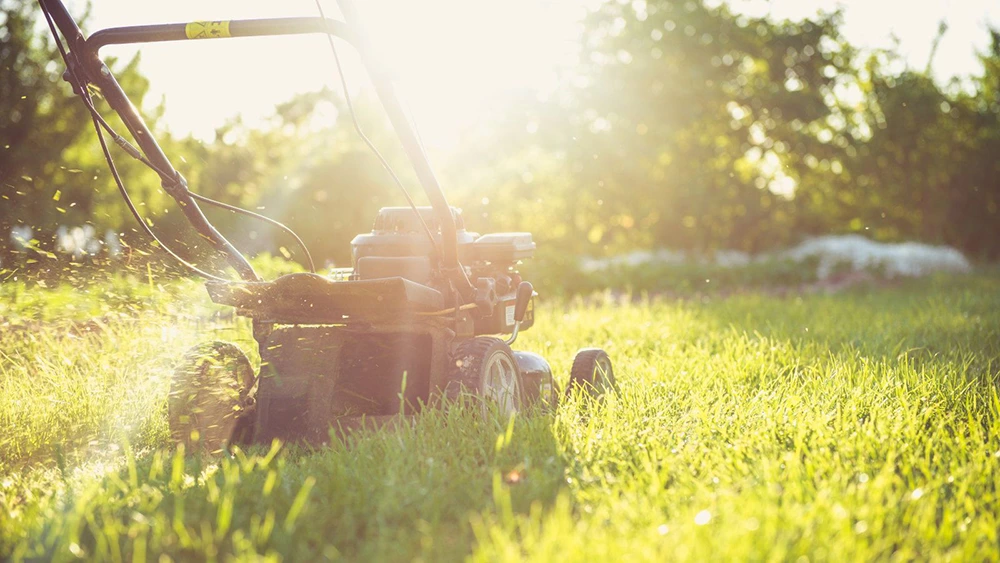When Do Lawn Mowers Go on Sale? Best Months, Holiday Deals, and Smartest Time to Buy